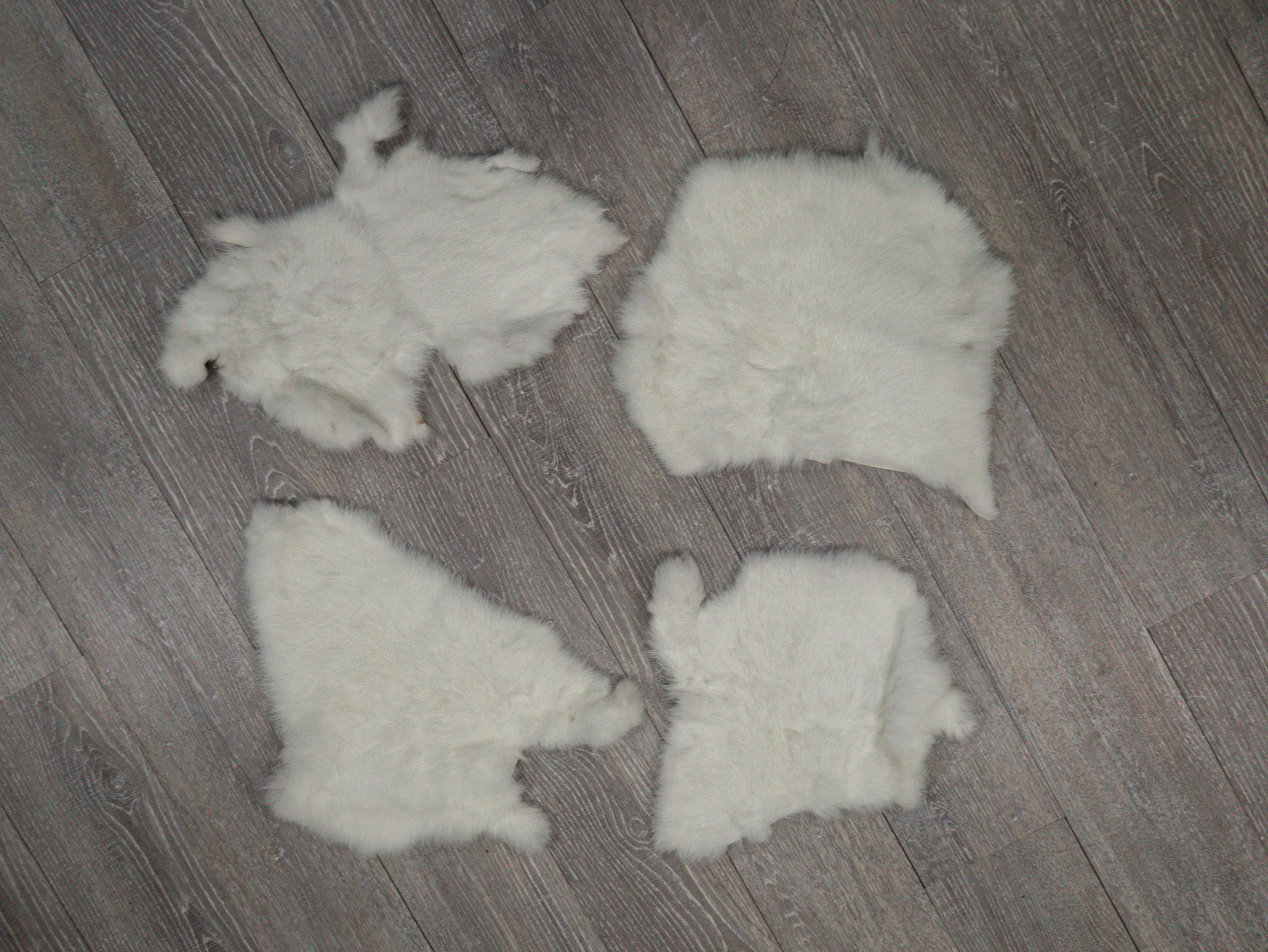 Silver Chinchilla First Grade Czech Rabbit Skins