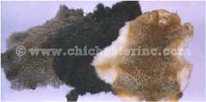 Rabbit Skin Animal Pelt: Rabbit Fur Pelts & Skins - Rabbits Skin Hides